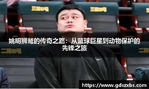 姚明狮鹫的传奇之路：从篮球巨星到动物保护的先锋之旅